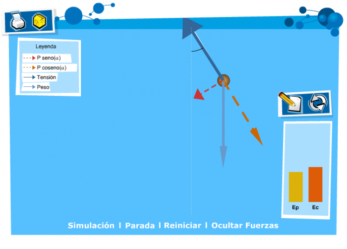 The interaction of forces components in a pendulum according to two parameters set by the students: mass and length of the rope