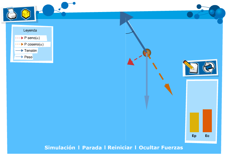 The interaction of forces components in a pendulum according to two parameters set by the students: mass and length of the rope