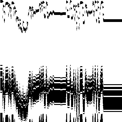 noise